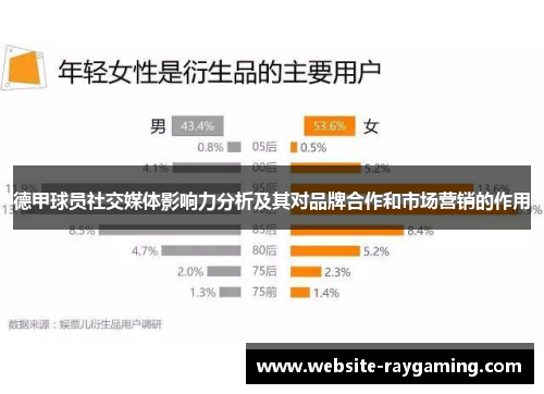 德甲球员社交媒体影响力分析及其对品牌合作和市场营销的作用