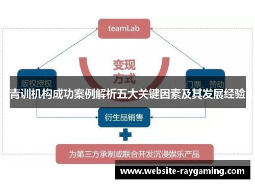 青训机构成功案例解析五大关键因素及其发展经验