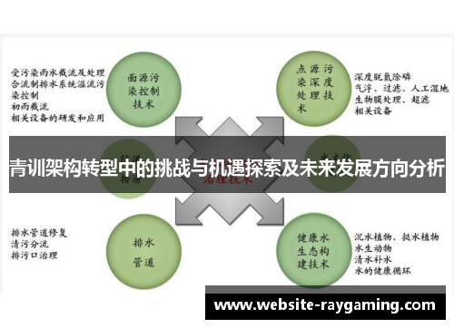 青训架构转型中的挑战与机遇探索及未来发展方向分析